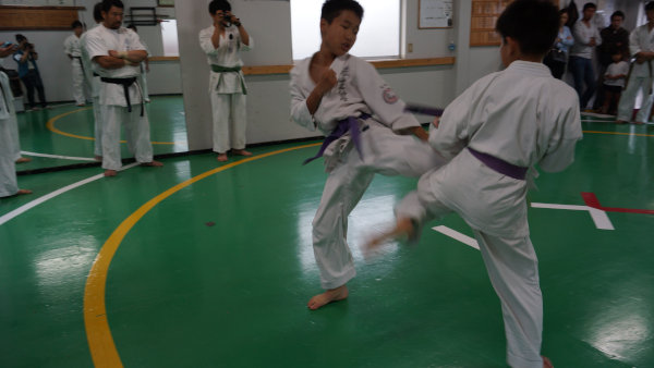 smu6 (151).jpg